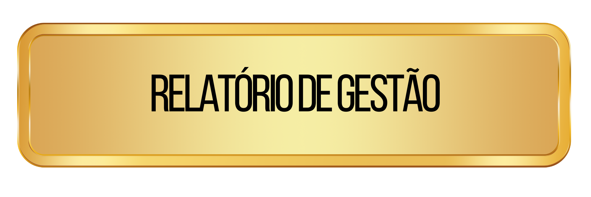 Relatório de Gestão