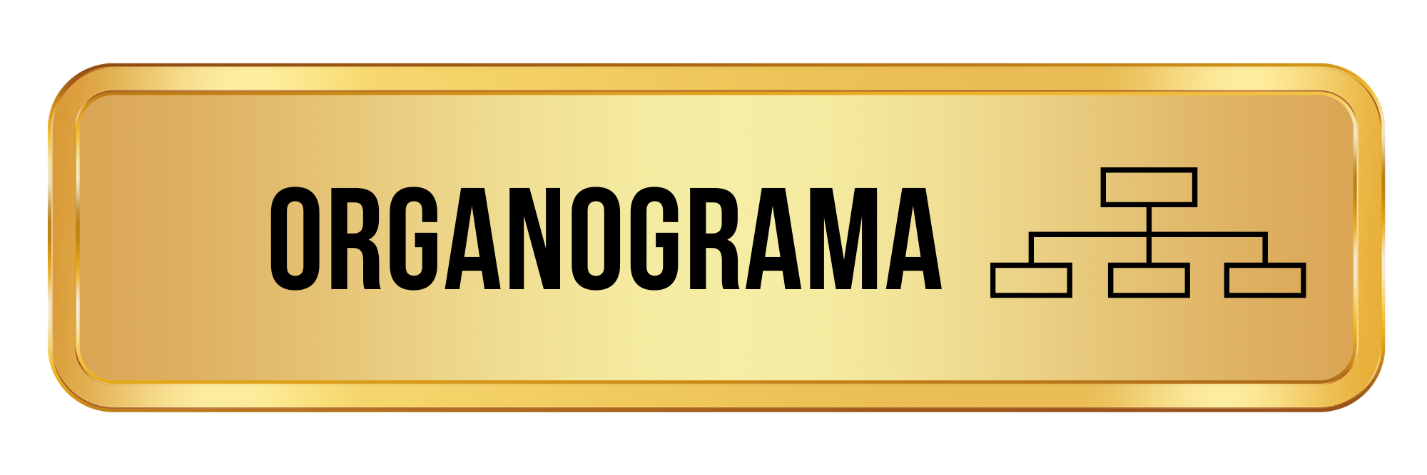 ORGANOGRAMA