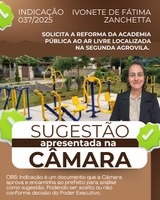 INDICAÇÃO 037/2025